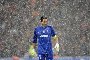 自由泳冲刺奥地利保持领先节奏，澳大利亚自由泳接力