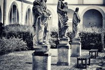 日本武道大会盛大举行，传统文化焕发新活力，日本武道馆