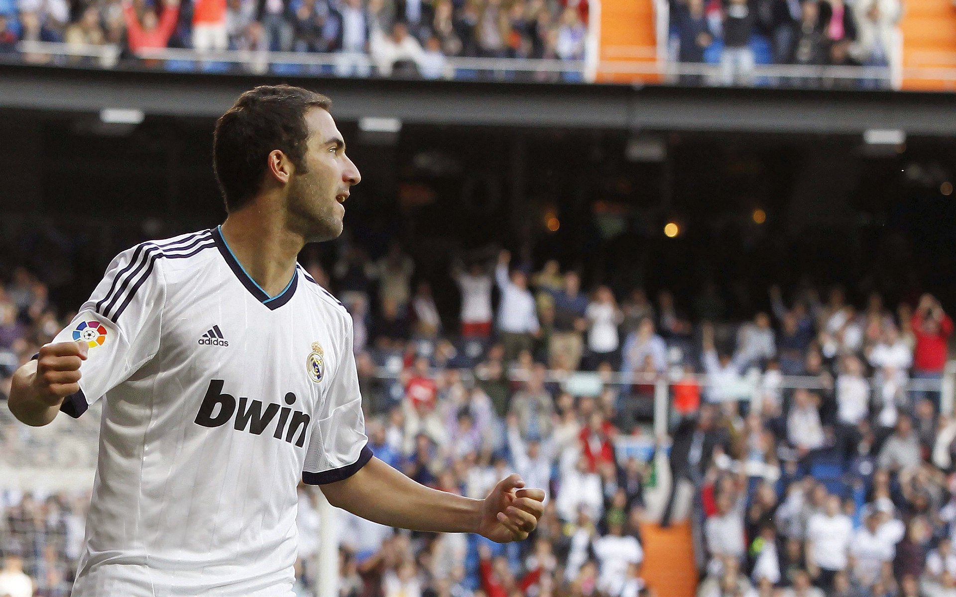 观众满意度持续上升平台用户活跃度创造同期历史新高，专业观众满意度